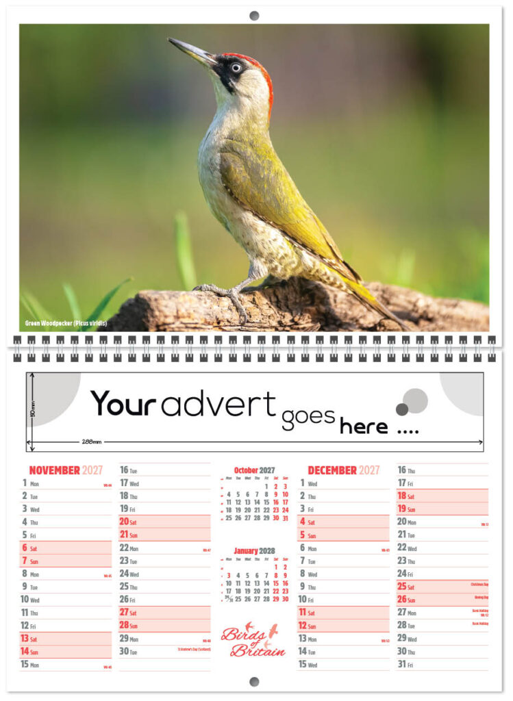 birds-of-britain-central-wiro-7l-2027-6