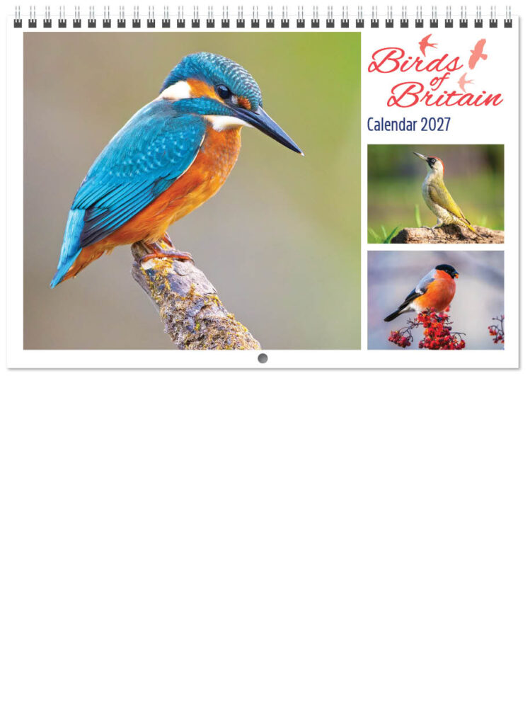 birds-of-britain-central-wiro-7l-2027-cover