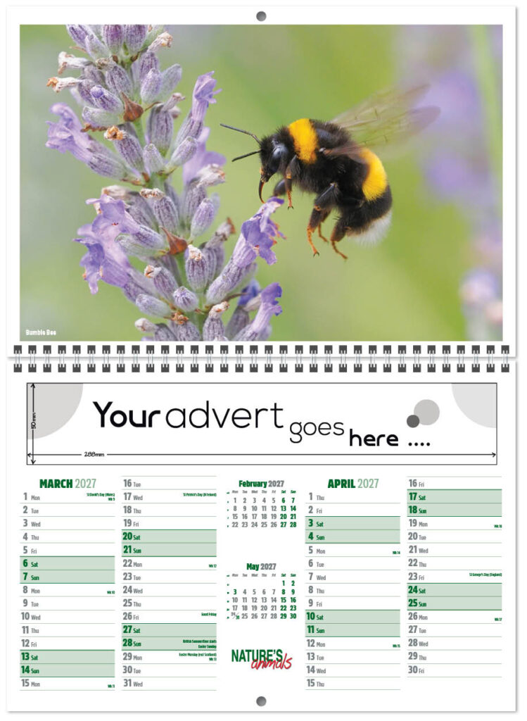 natures-animals-central-wiro-7l-2027-2