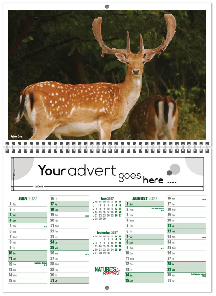 natures-animals-central-wiro-7l-2027-4