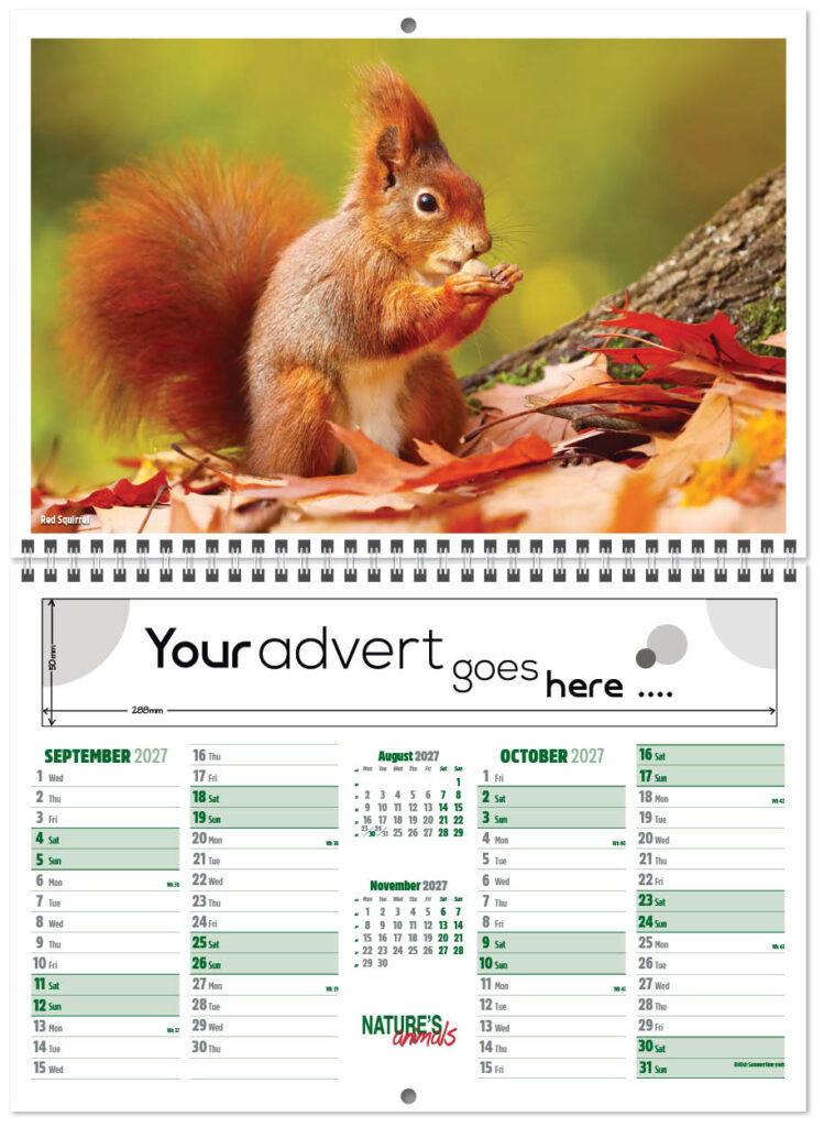 natures-animals-central-wiro-7l-2027-5