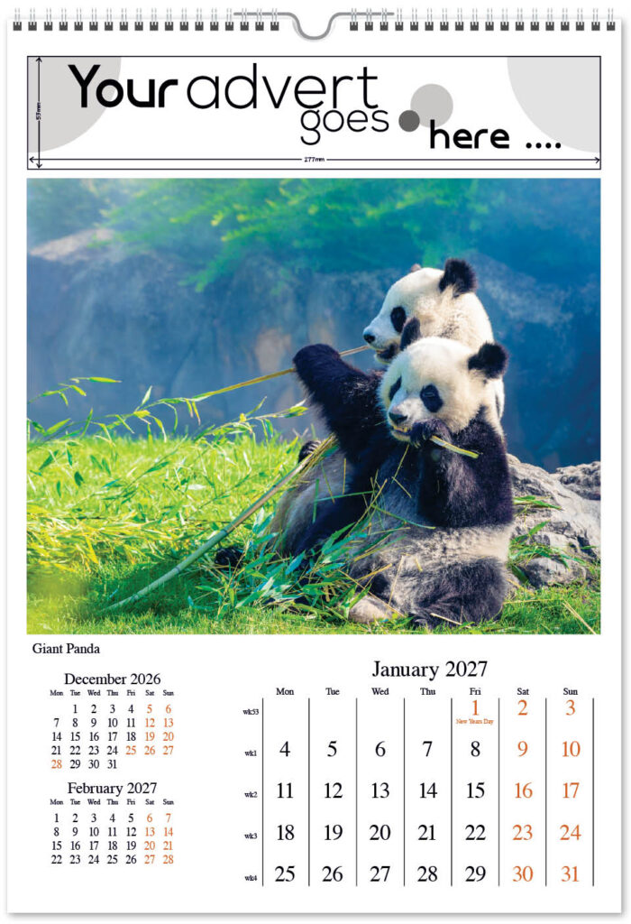 born-wild-digi-portrait-2027-1