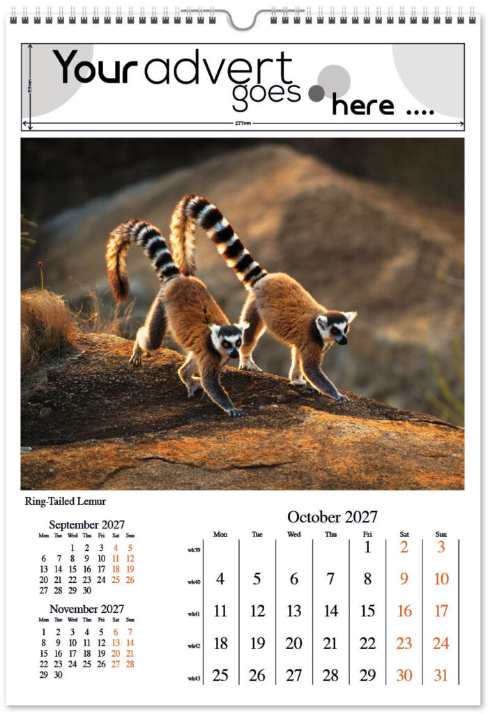 born-wild-digi-portrait-2027-10