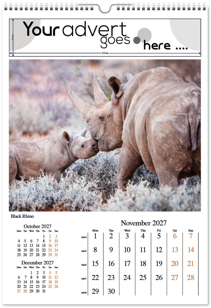 born-wild-digi-portrait-2027-11