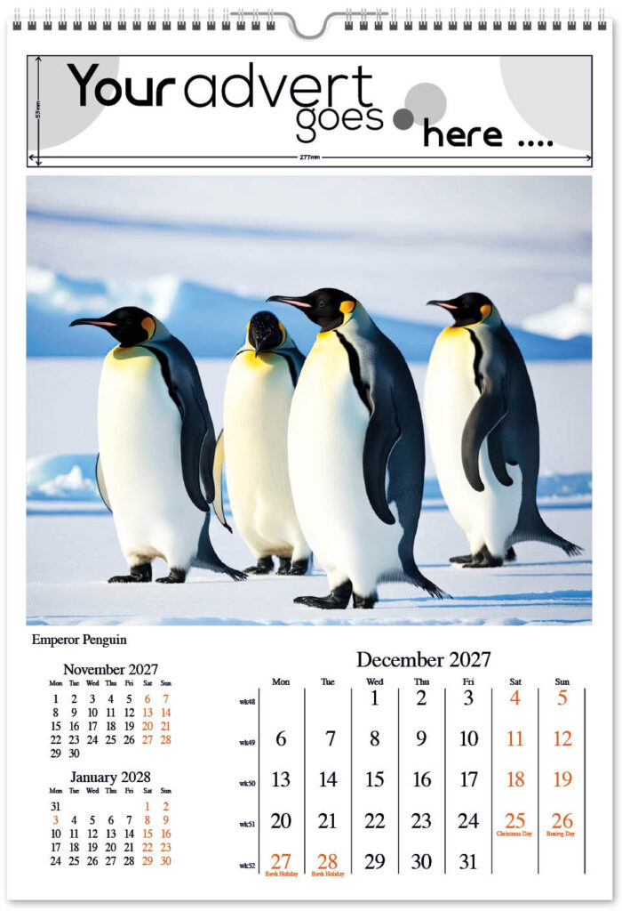 born-wild-digi-portrait-2027-12