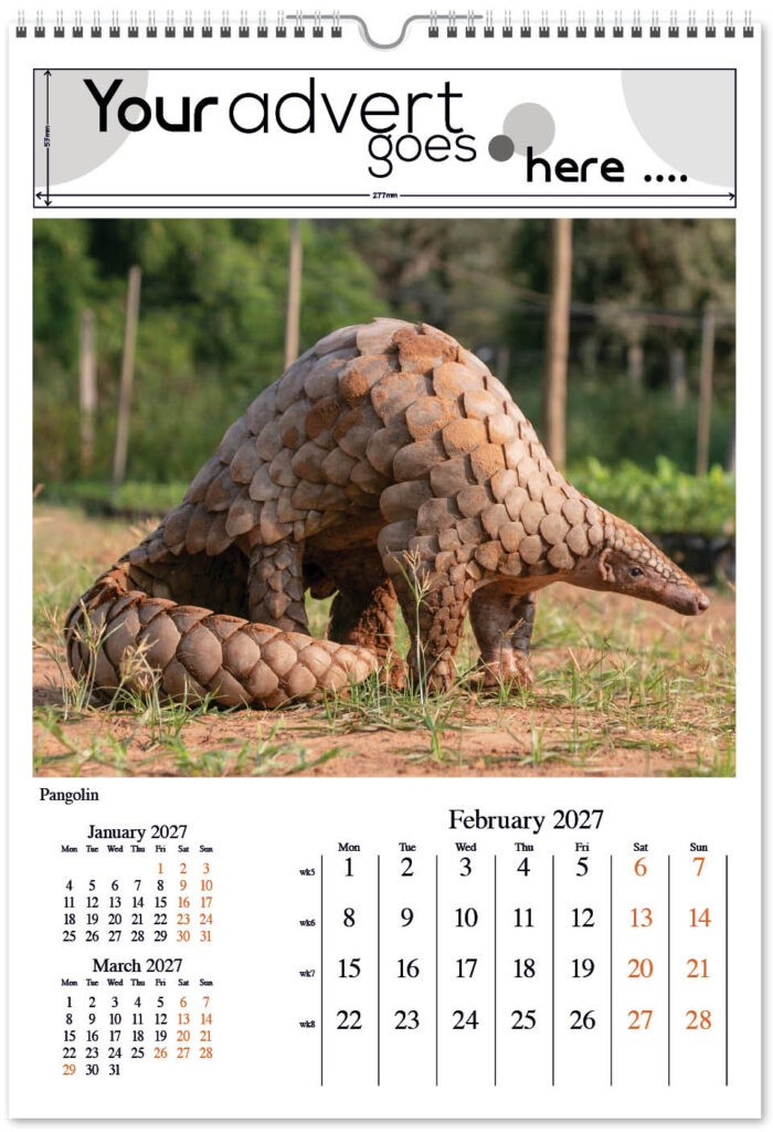 born-wild-digi-portrait-2027-2