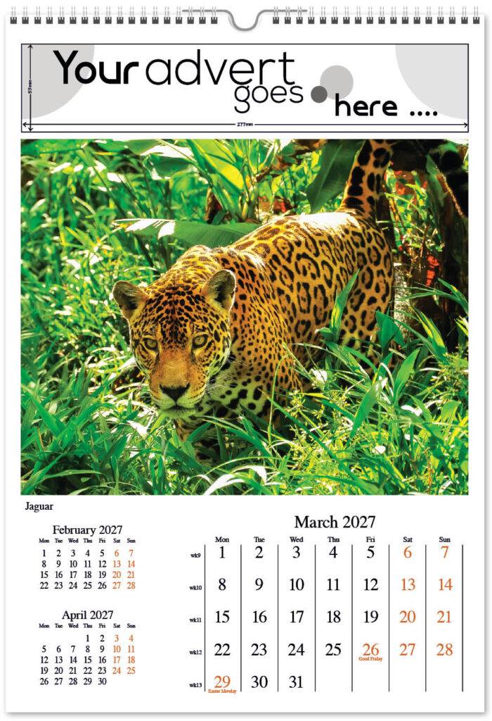 born-wild-digi-portrait-2027-3