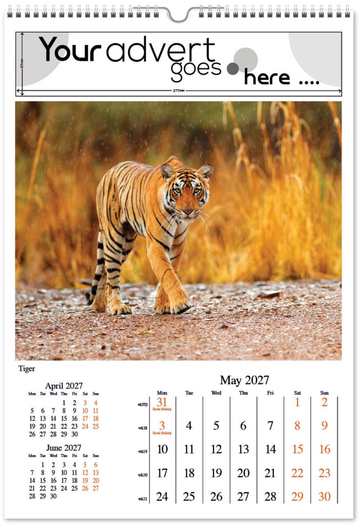 born-wild-digi-portrait-2027-5