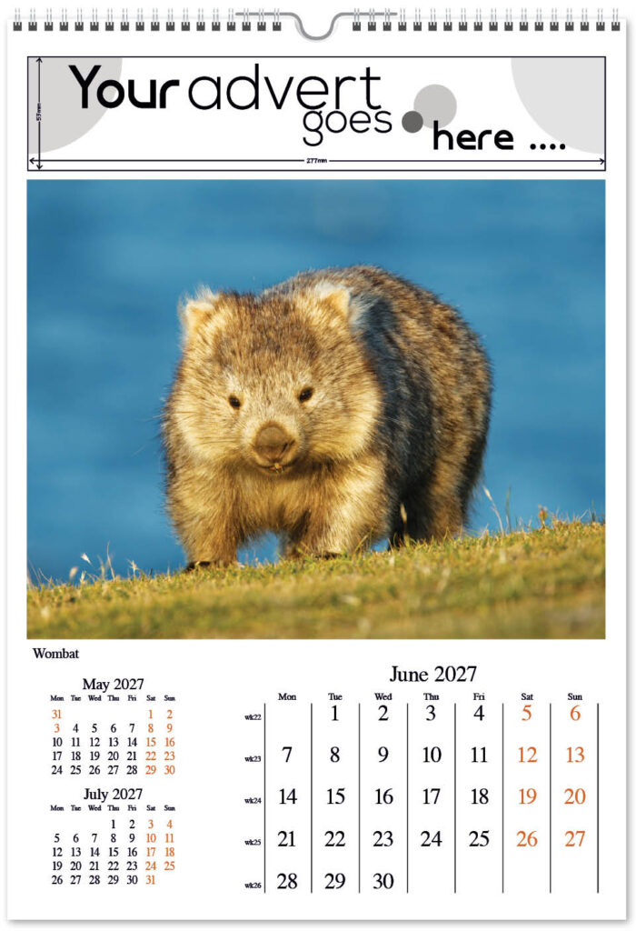 born-wild-digi-portrait-2027-6