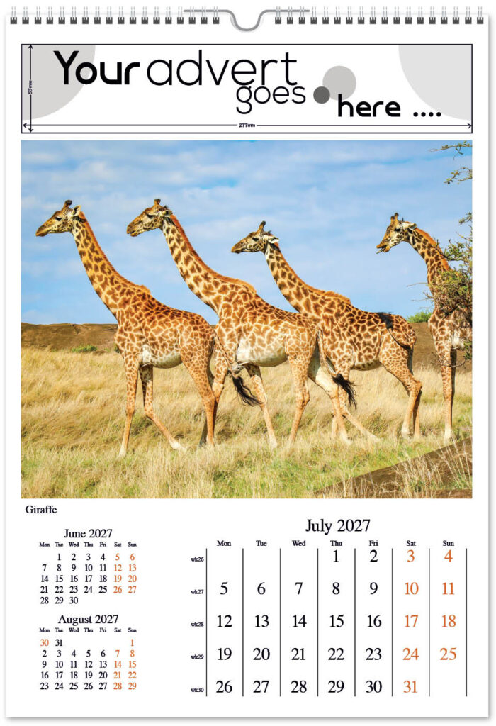 born-wild-digi-portrait-2027-7