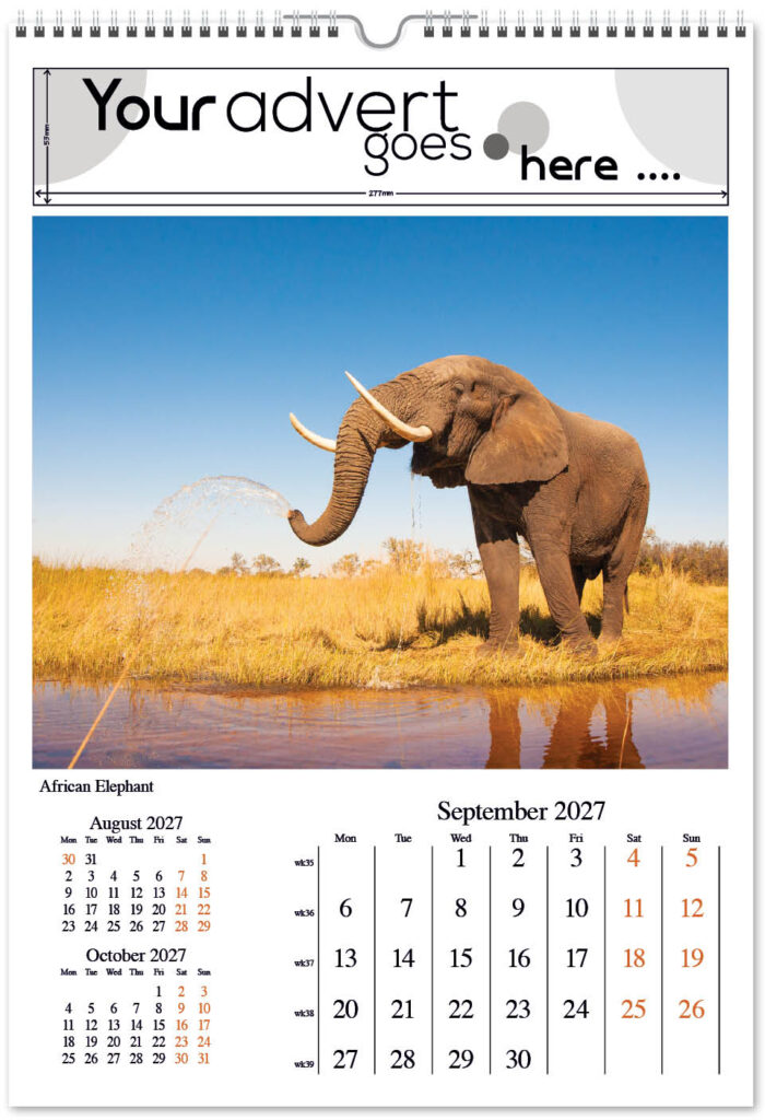 born-wild-digi-portrait-2027-9