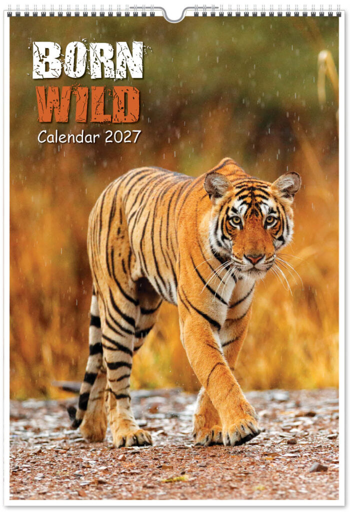 born-wild-digi-portrait-2027-cover