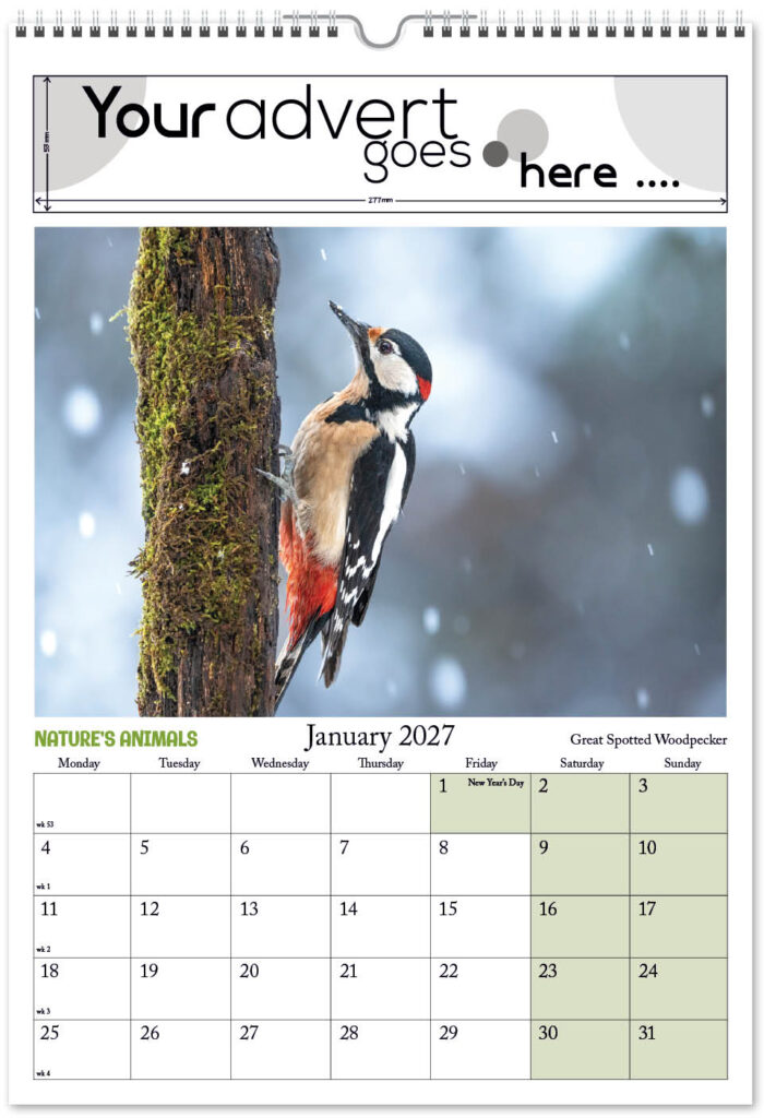 natures-animals-digi-portrait-2027-1