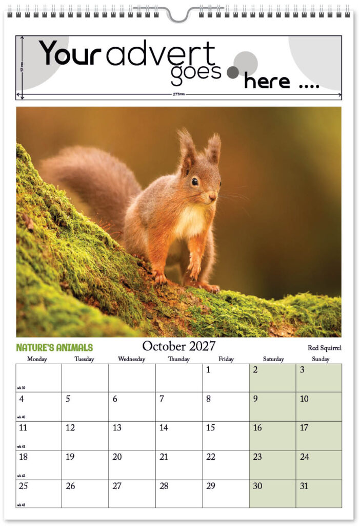 natures-animals-digi-portrait-2027-10