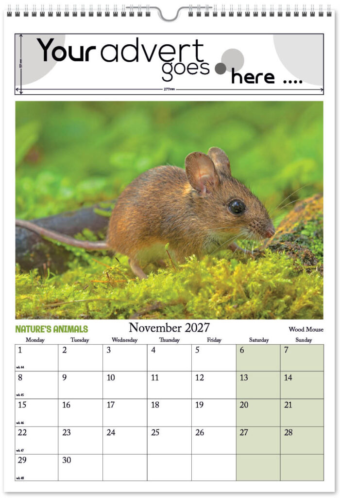 natures-animals-digi-portrait-2027-11