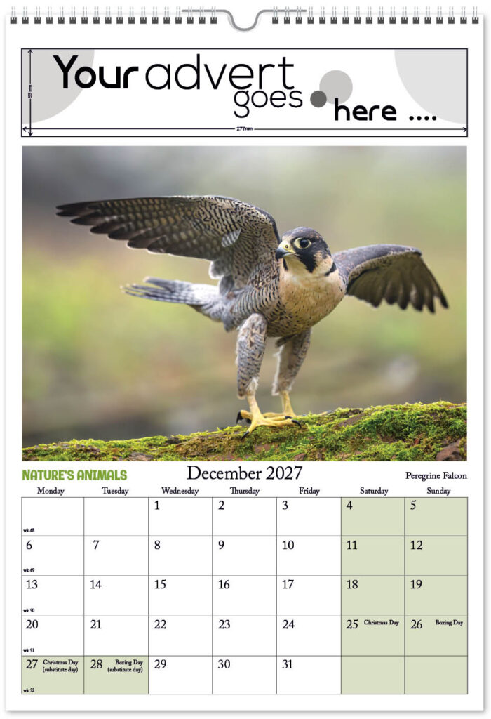 natures-animals-digi-portrait-2027-12