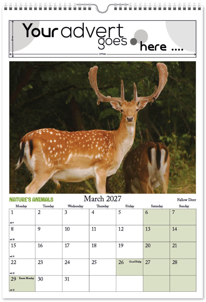 natures-animals-digi-portrait-2027-3