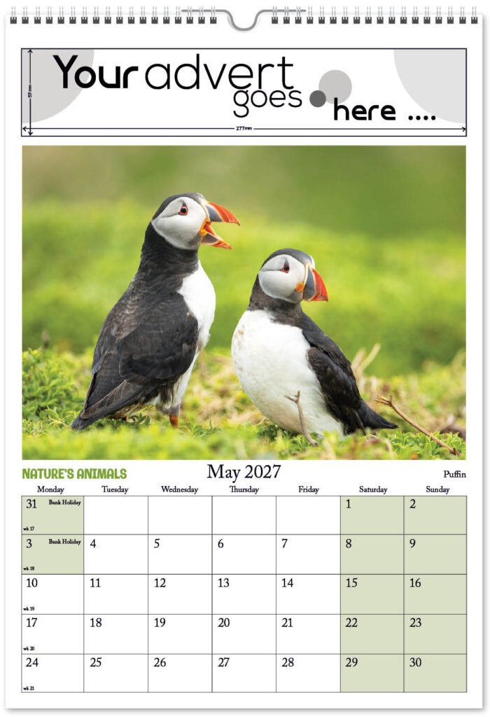 natures-animals-digi-portrait-2027-5