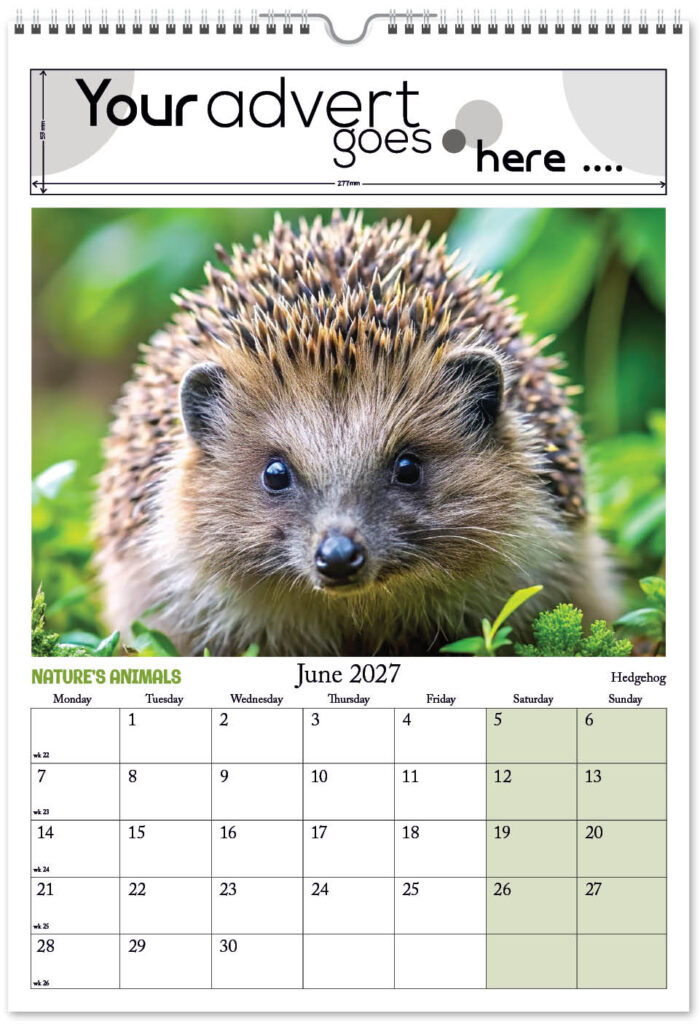 natures-animals-digi-portrait-2027-6