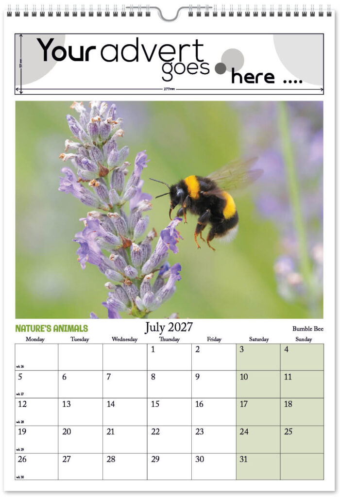 natures-animals-digi-portrait-2027-7