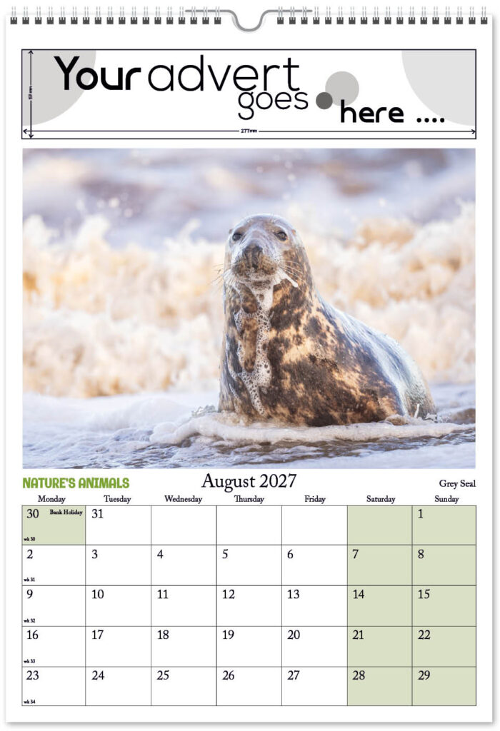 natures-animals-digi-portrait-2027-8