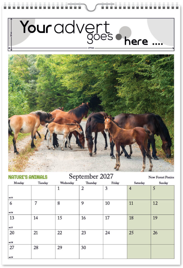 natures-animals-digi-portrait-2027-9