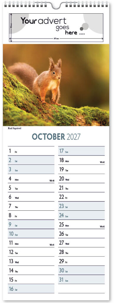 natures-animals-slim-2027-10