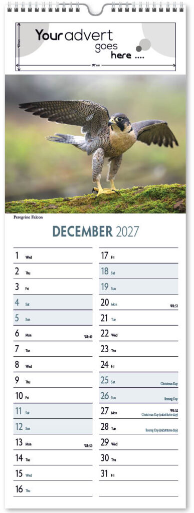 natures-animals-slim-2027-12