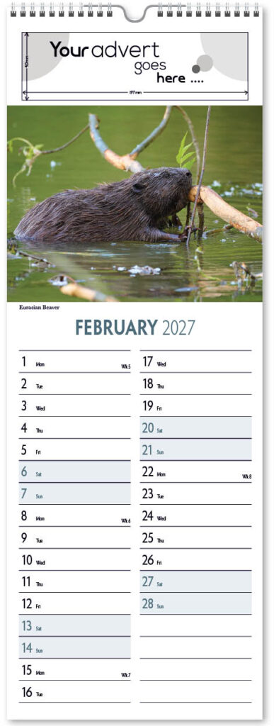 natures-animals-slim-2027-2