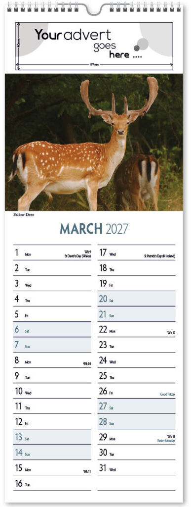 natures-animals-slim-2027-3