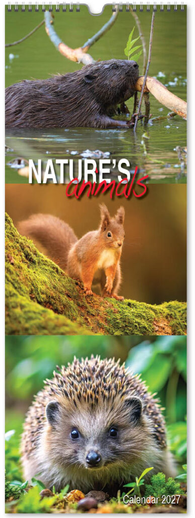 natures-animals-slim-2027-cover