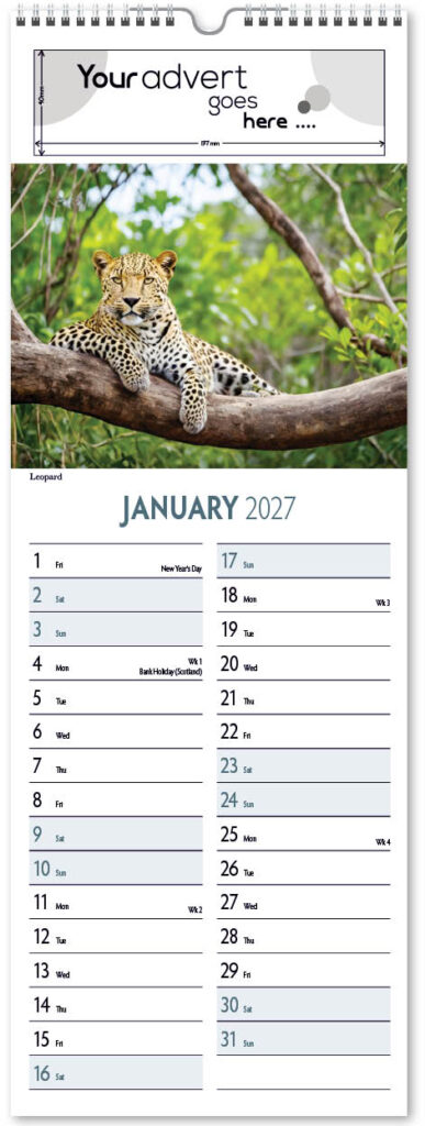 roam-free-slim-2027-1