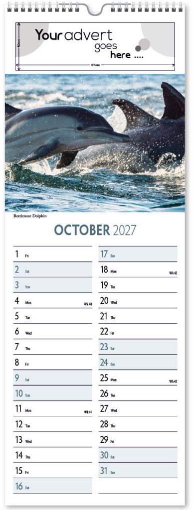 roam-free-slim-2027-10