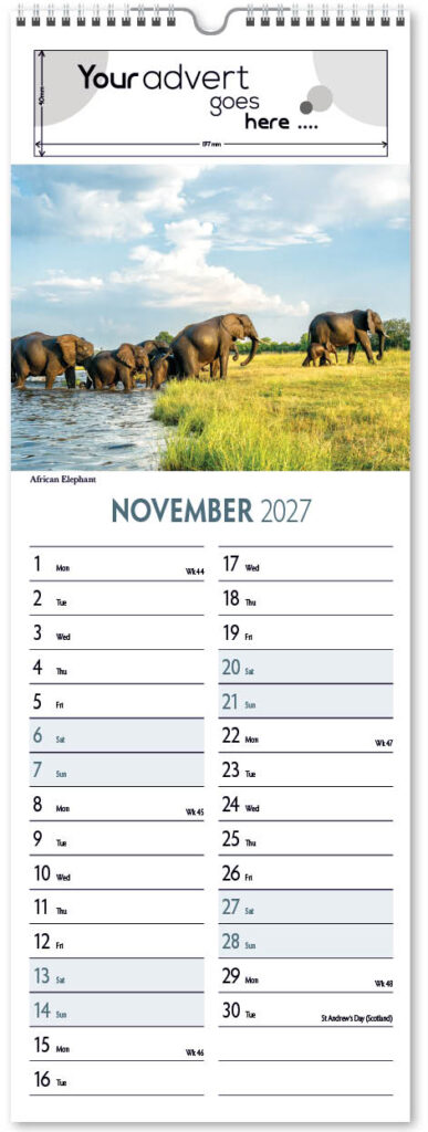 roam-free-slim-2027-11