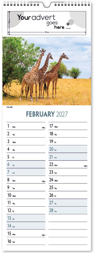 roam-free-slim-2027-2