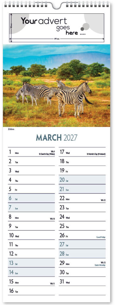 roam-free-slim-2027-3