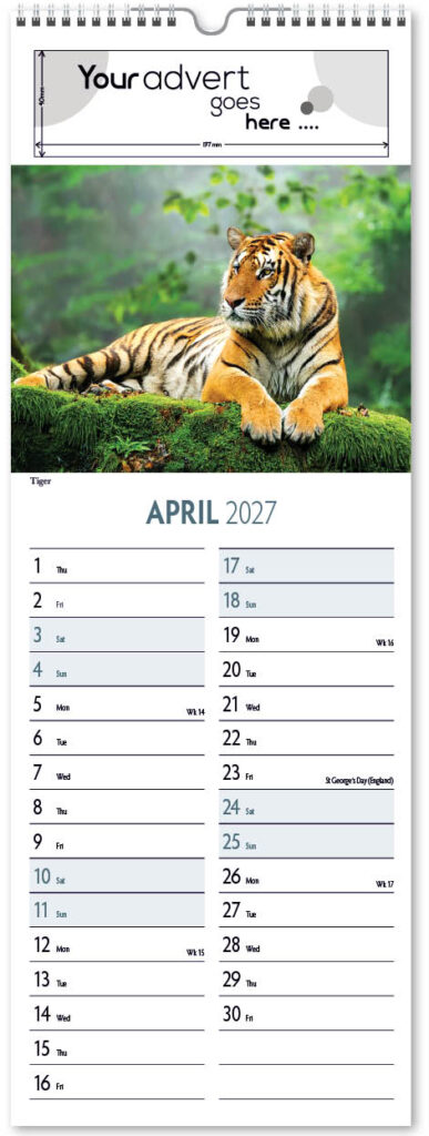 roam-free-slim-2027-4