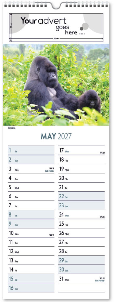 roam-free-slim-2027-5