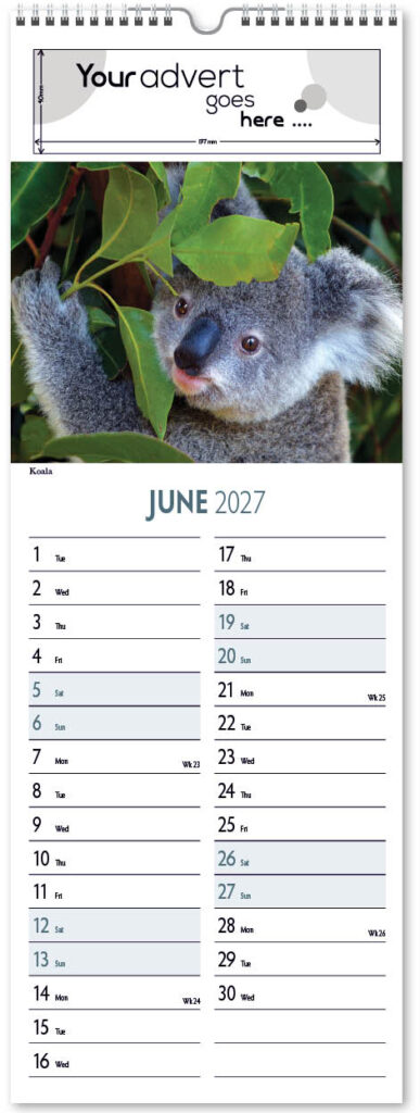 roam-free-slim-2027-6