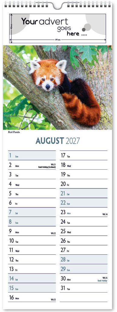 roam-free-slim-2027-8