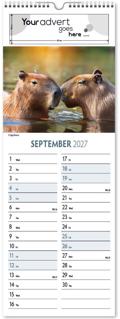 roam-free-slim-2027-9