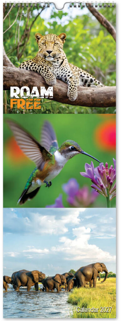 roam-free-slim-2027-cover