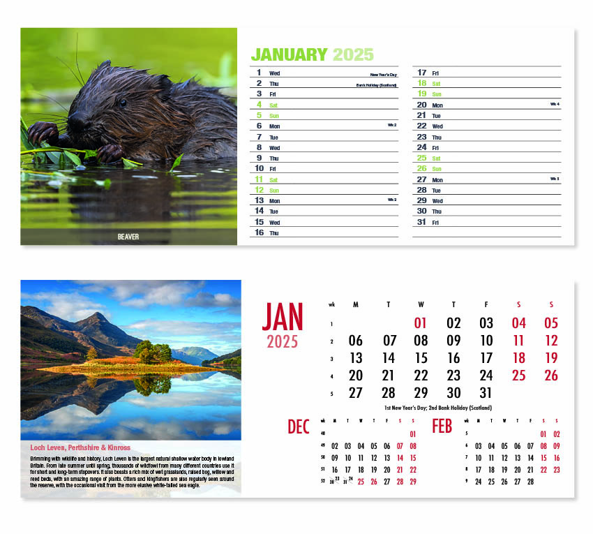 Beautiful Britain / Nature's Animals Desk Calendar 2025 Think Promote