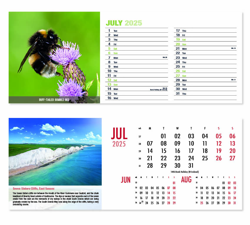 Beautiful Britain / Nature's Animals Desk Calendar 2025 Think Promote