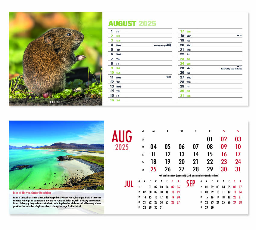 Beautiful Britain / Nature's Animals Desk Calendar 2025 Think Promote