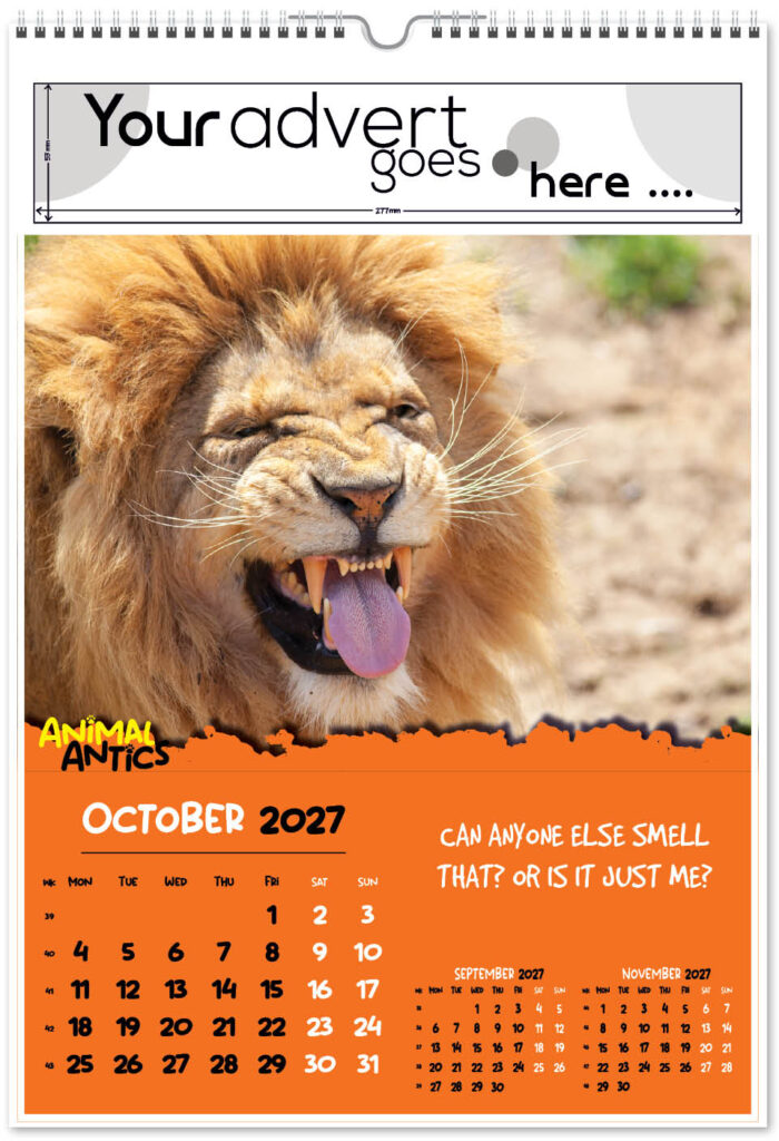 animal-antics-digi-portrait-2027-10