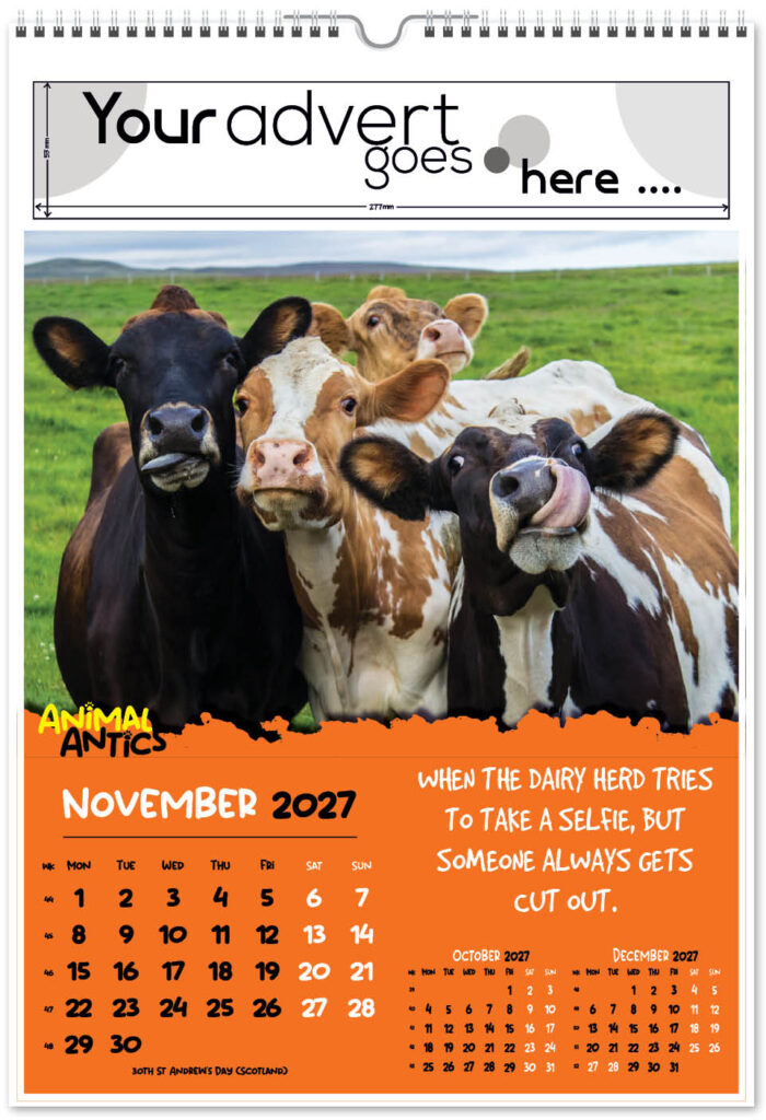 animal-antics-digi-portrait-2027-11