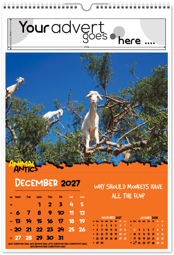 animal-antics-digi-portrait-2027-12