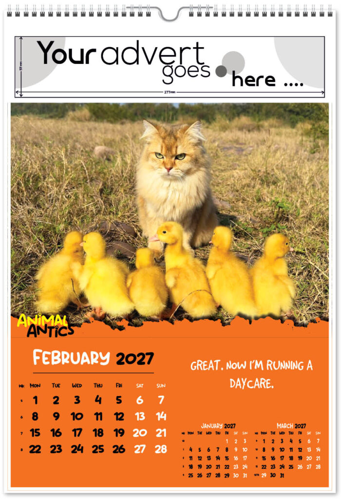 animal-antics-digi-portrait-2027-2