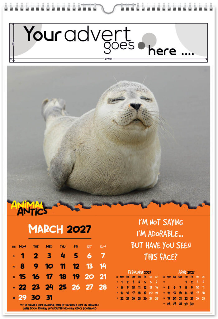 animal-antics-digi-portrait-2027-3